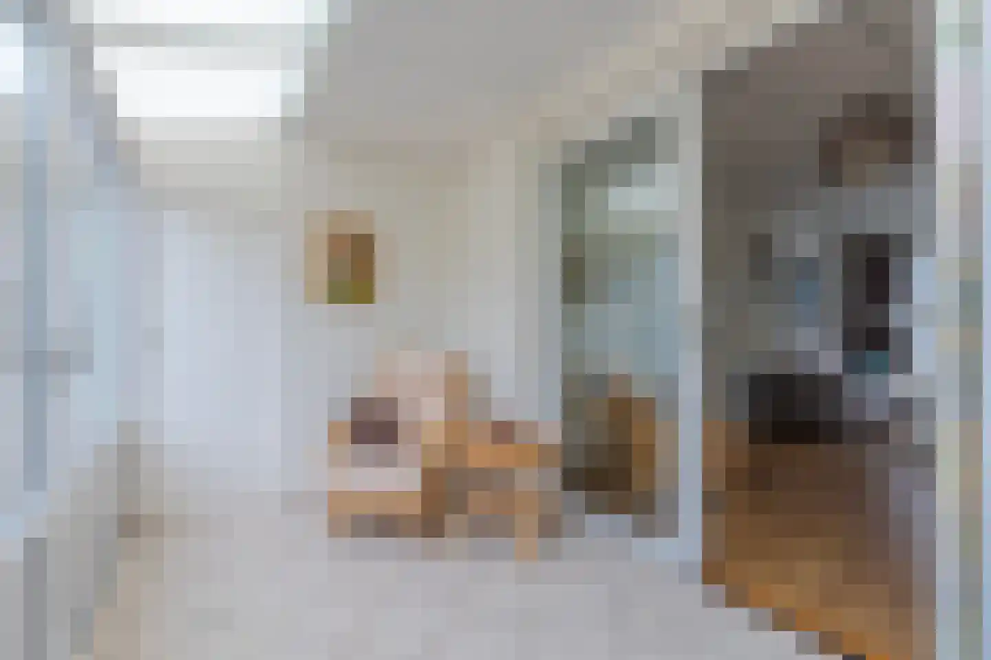 Ambachtstraat 11 Didam thumbnail 8