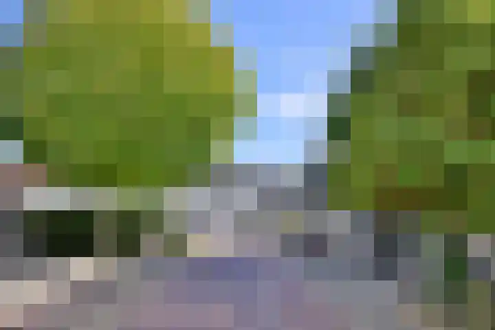 Ambachtstraat 12 A Brummen thumbnail 36