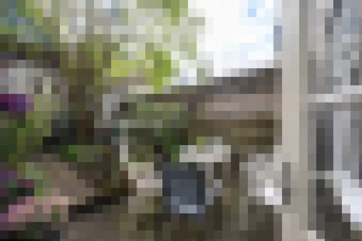 Ambachtstraat 13 Utrecht thumbnail 13