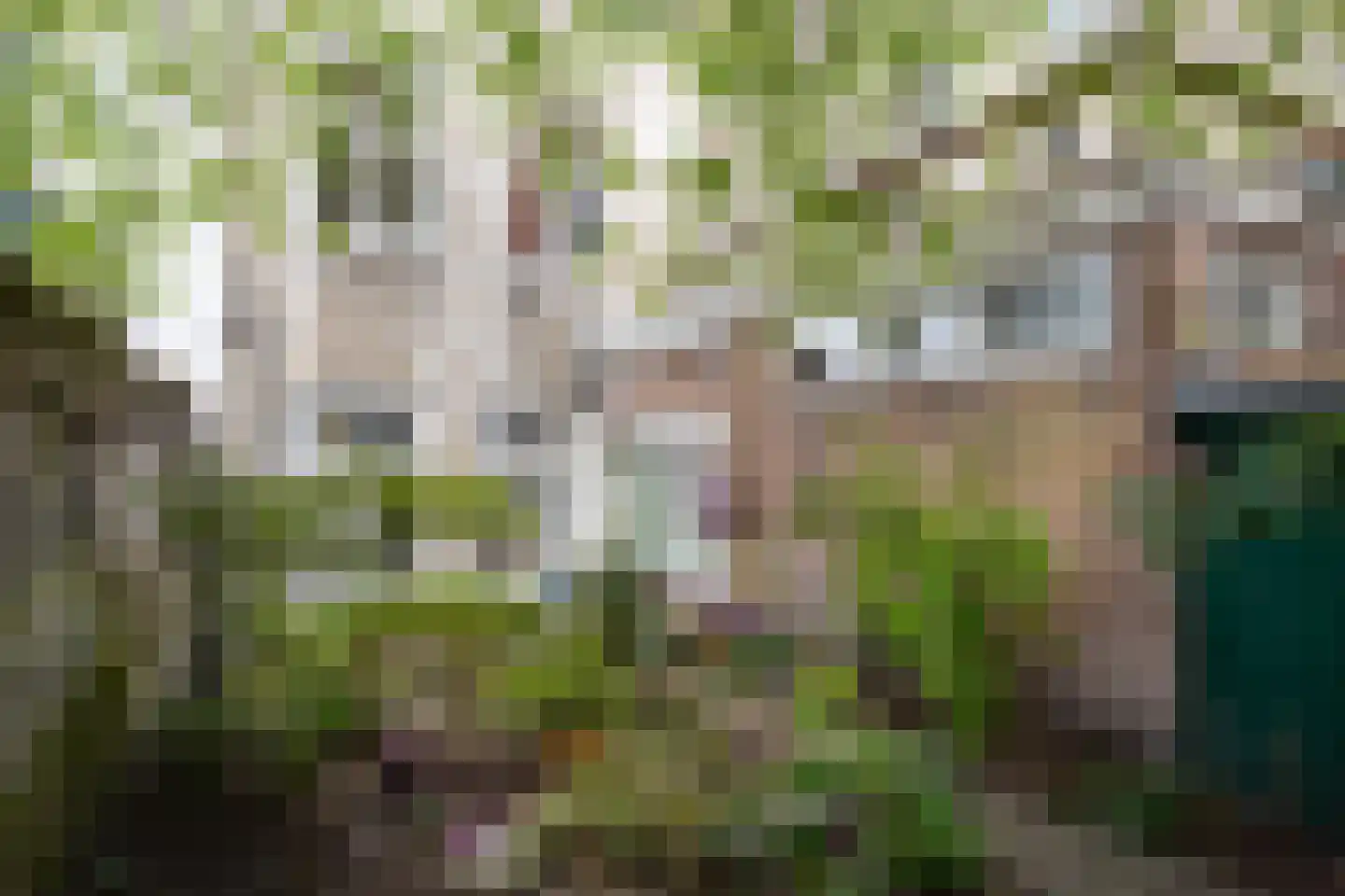 Ambachtstraat 13 Utrecht thumbnail 17
