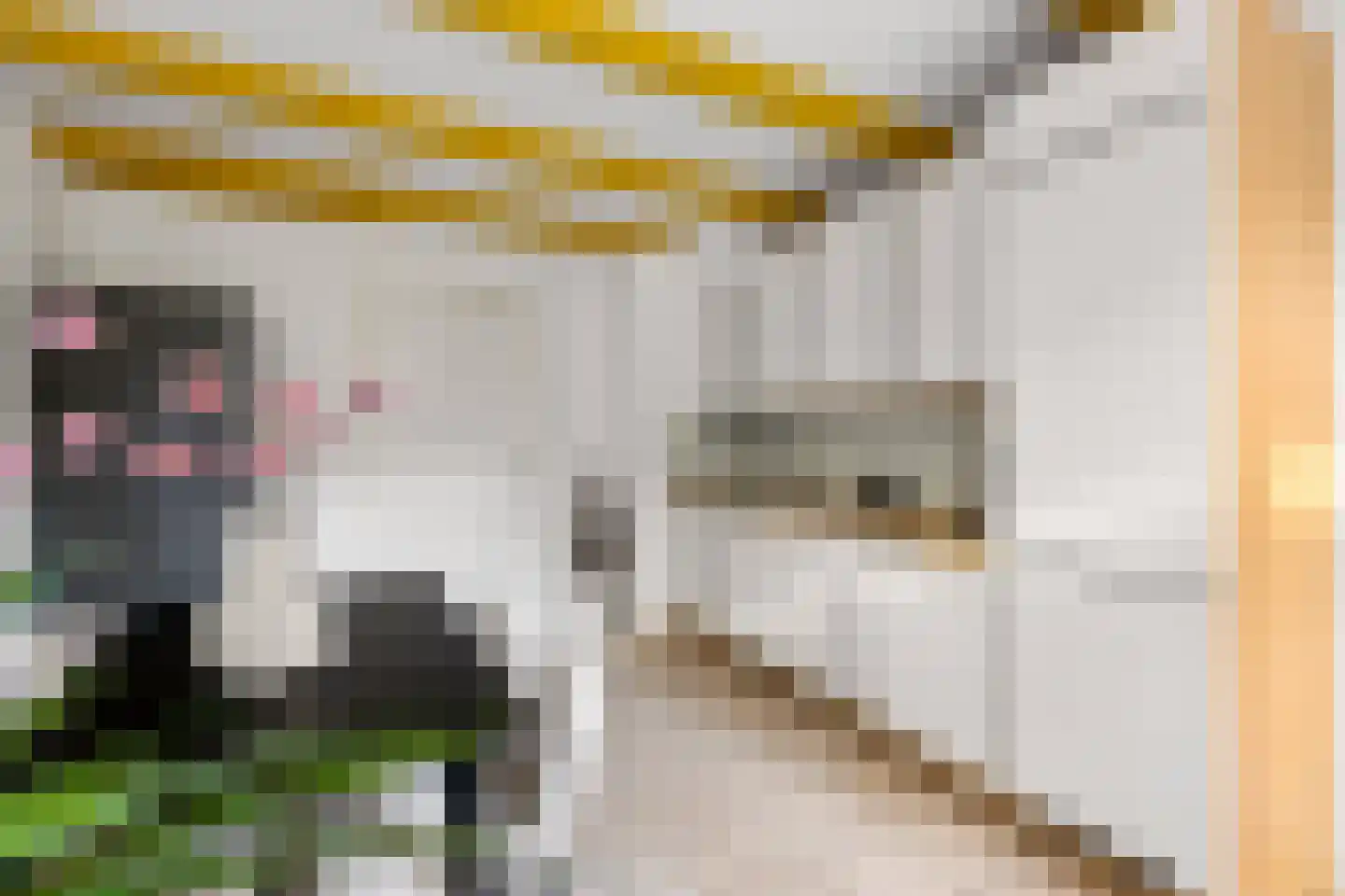 Ambachtstraat 14 A Utrecht thumbnail 11