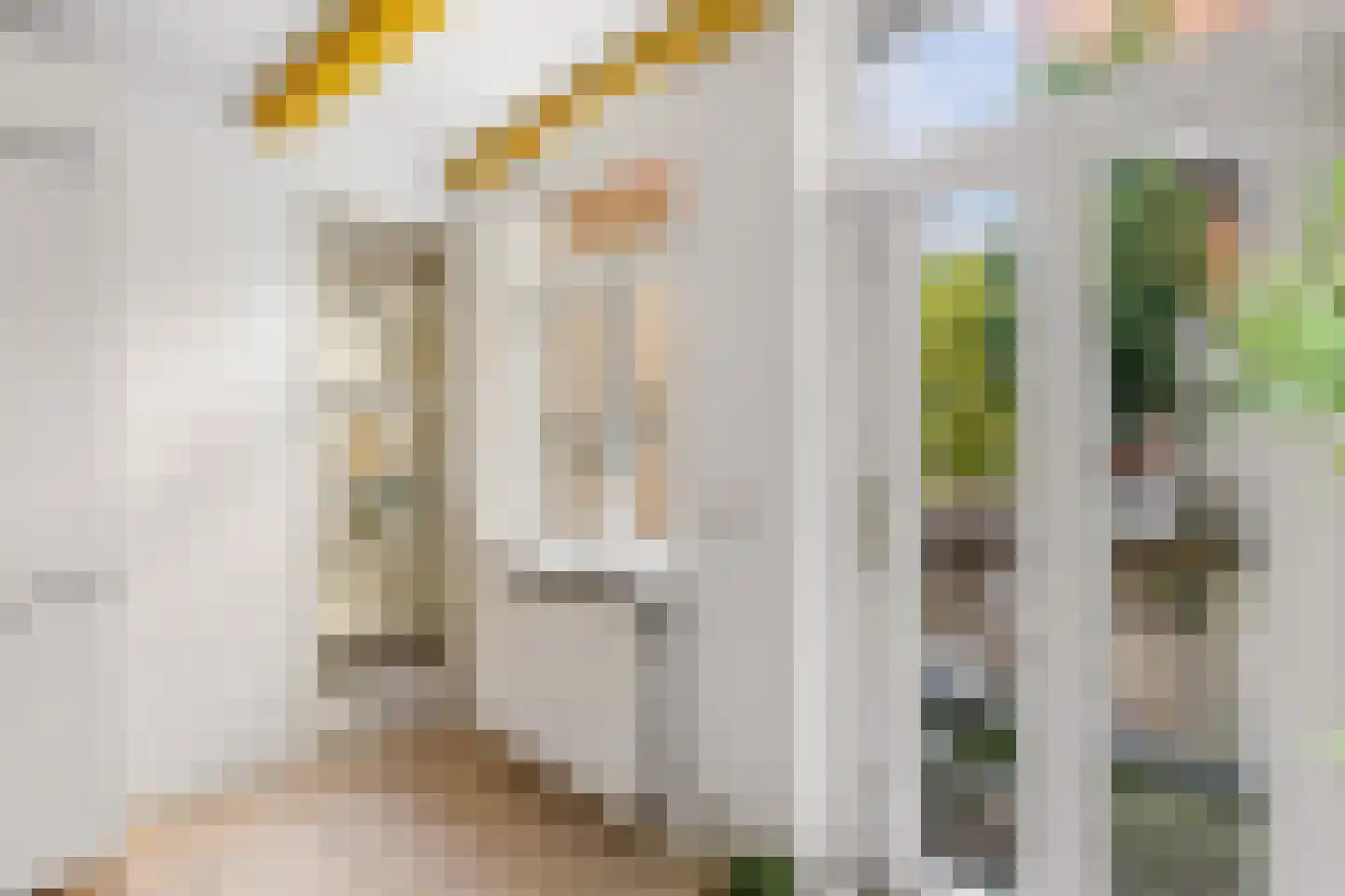 Ambachtstraat 14 A Utrecht thumbnail 13