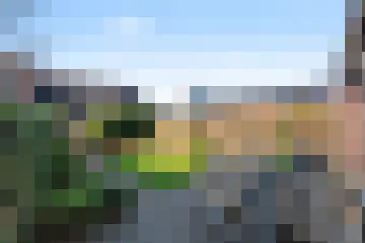 Ambachtstraat 18 Wageningen thumbnail 20