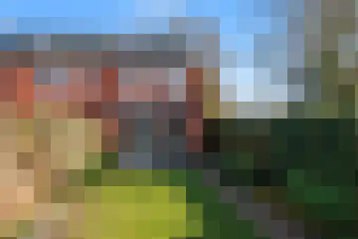 Ambachtstraat 18 Wageningen thumbnail 21