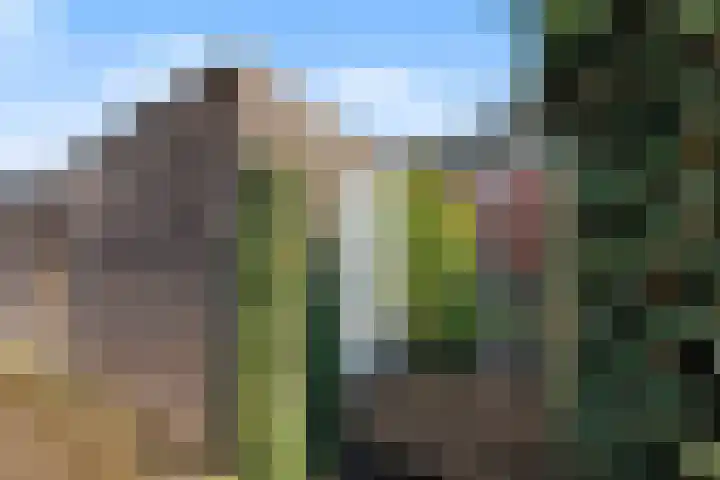 Ambachtstraat 18 Wageningen thumbnail 22
