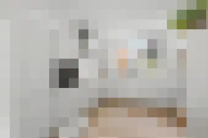 Ambachtstraat 18 Wageningen thumbnail 4