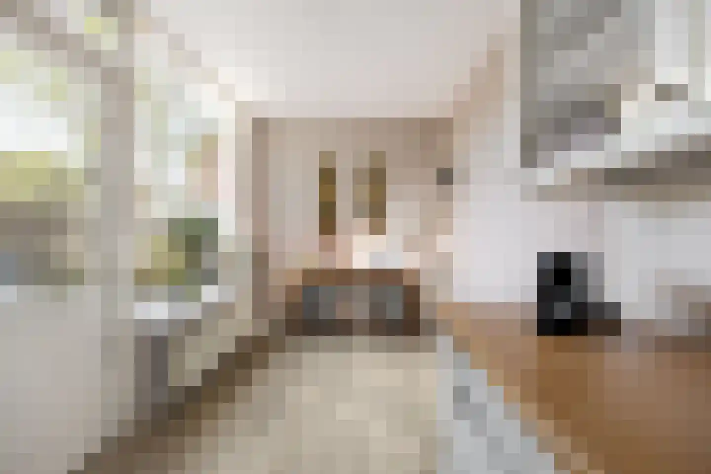 Ambachtstraat 19 Haarlem thumbnail 10