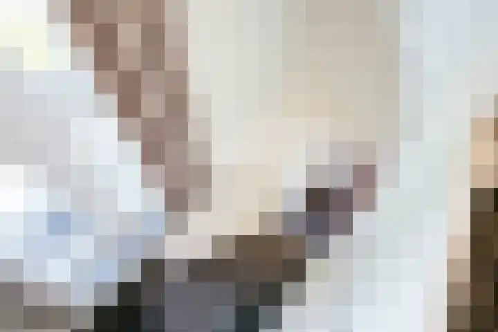 Ambachtstraat 2 Laren thumbnail 21