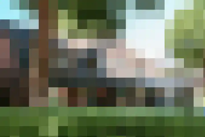 Ambachtstraat 2 Laren thumbnail 48