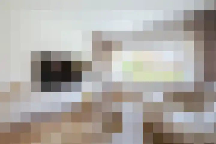 Ambachtstraat 2 Laren thumbnail 8