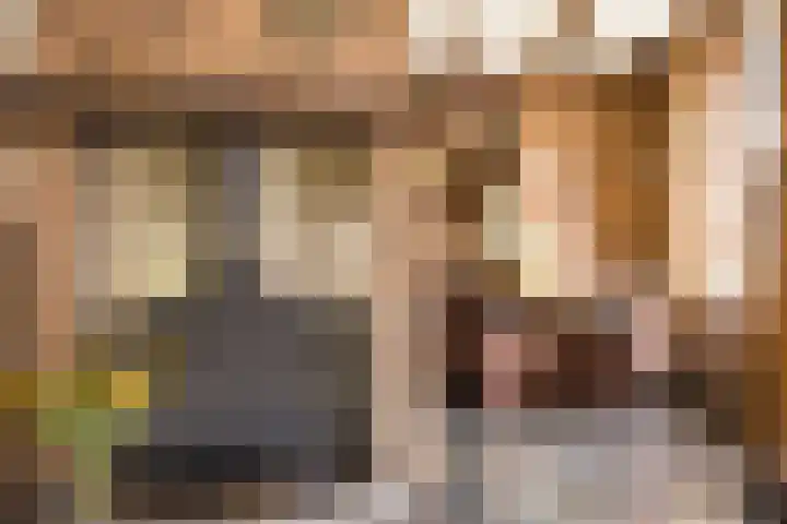 Ambachtstraat 25 Brummen thumbnail 10