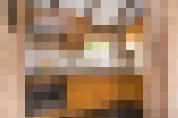 Ambachtstraat 25 Brummen thumbnail 11