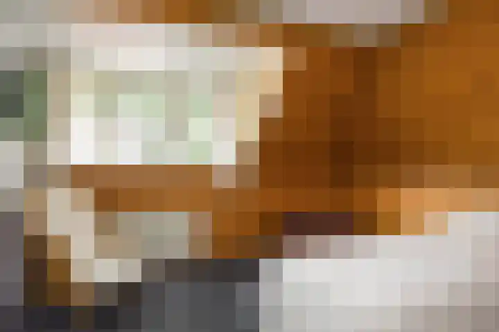 Ambachtstraat 25 Brummen thumbnail 14