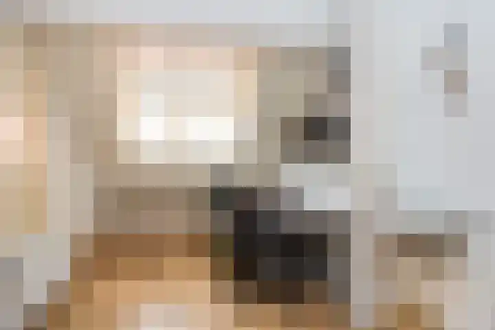 Ambachtstraat 25 Brummen thumbnail 16