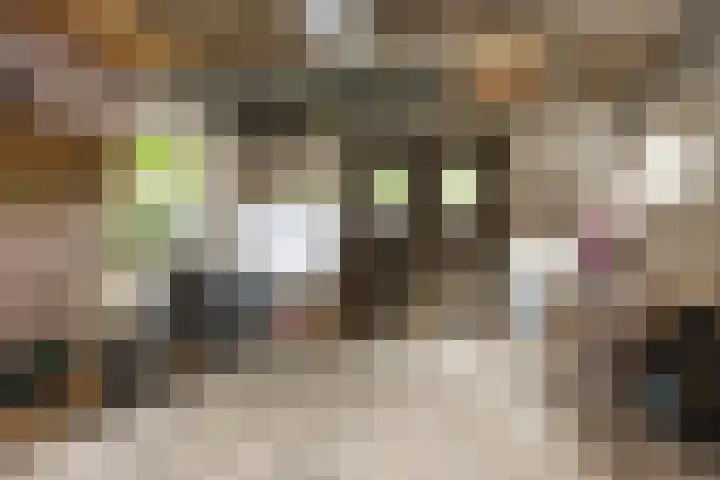 Ambachtstraat 25 Brummen thumbnail 17