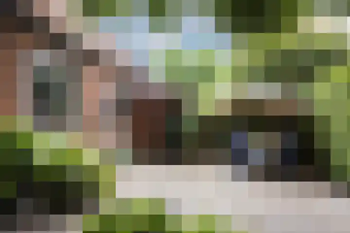 Ambachtstraat 25 Brummen thumbnail 19