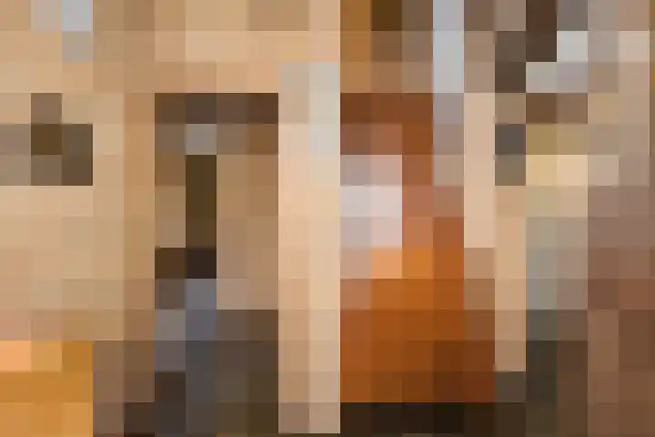Ambachtstraat 25 Brummen thumbnail 4