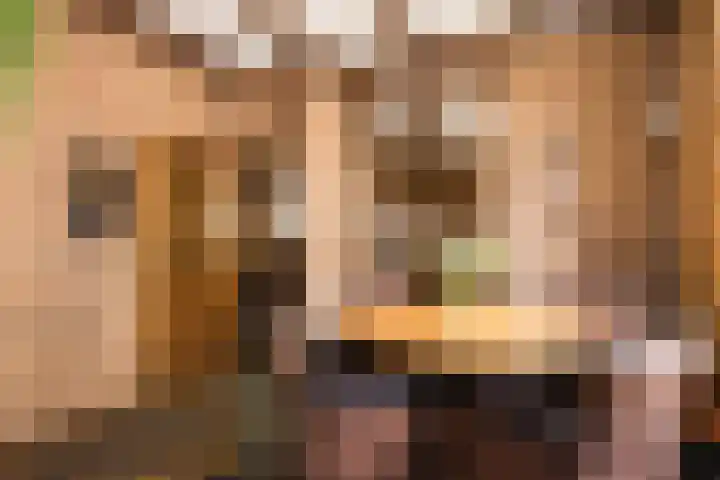Ambachtstraat 25 Brummen thumbnail 7