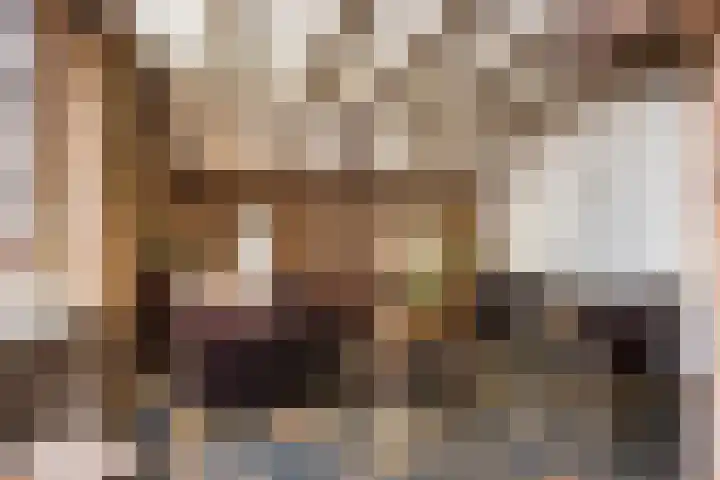 Ambachtstraat 25 Brummen thumbnail 8