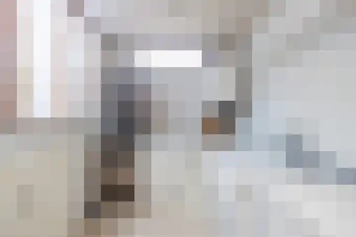 Ambachtstraat 3 Hillegom thumbnail 17