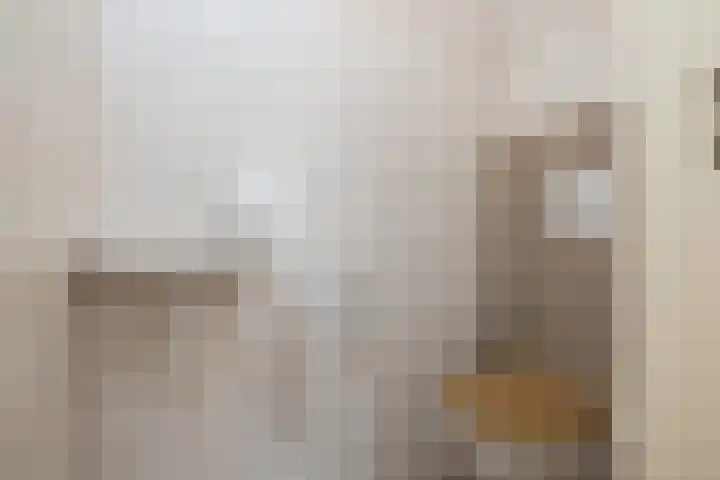 Ambachtstraat 3 Hillegom thumbnail 19