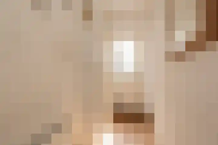 Ambachtstraat 3 Hillegom thumbnail 20