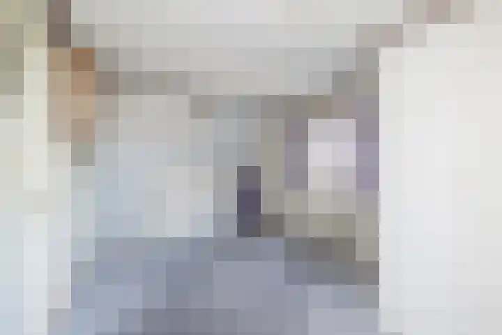 Ambachtstraat 3 Hillegom thumbnail 39