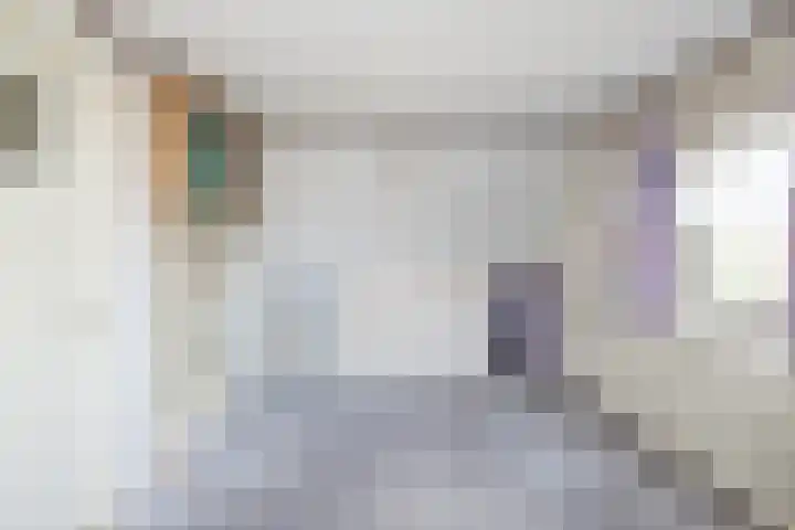 Ambachtstraat 3 Hillegom thumbnail 40