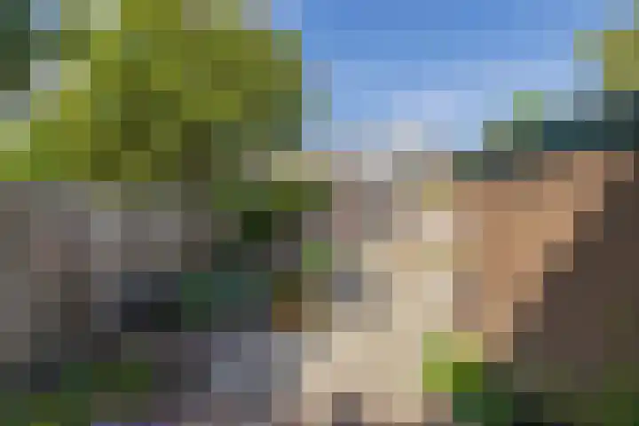 Ambachtstraat 3 Hillegom thumbnail 44