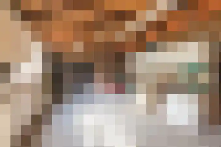 Ambachtstraat 3 Hillegom thumbnail 49