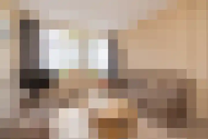 Ambachtstraat 3 Hillegom thumbnail 6