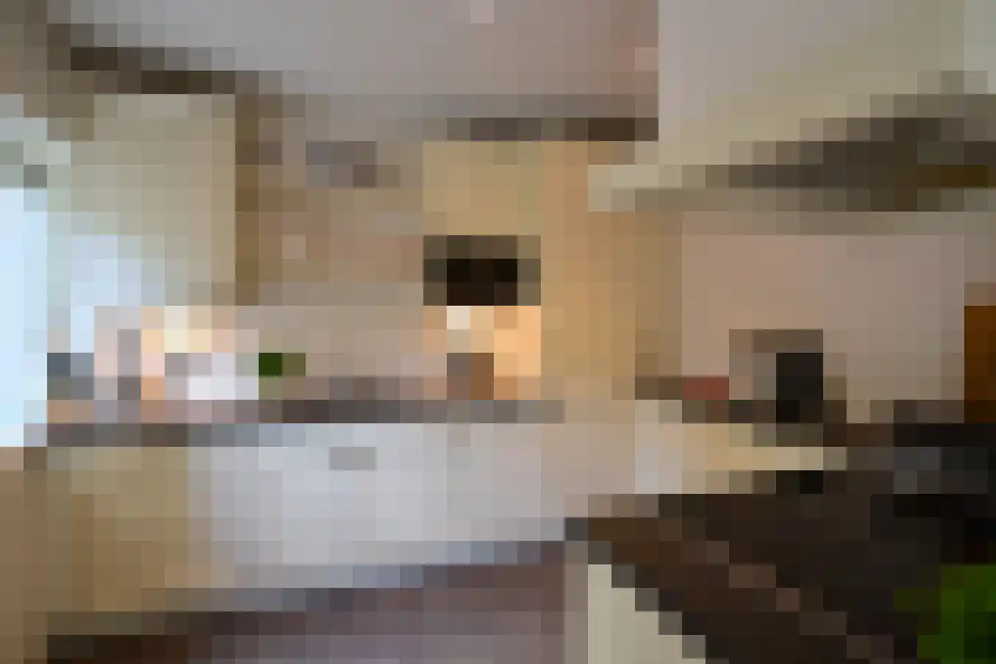 Ambachtstraat 3 Laren thumbnail 11