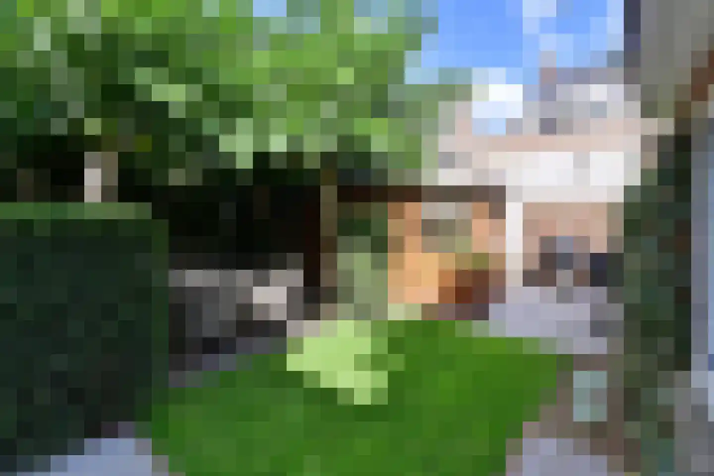 Ambachtstraat 3 Laren thumbnail 12