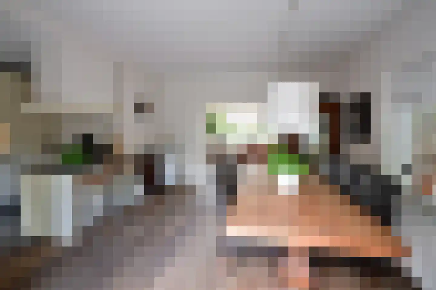 Ambachtstraat 3 Laren thumbnail 13