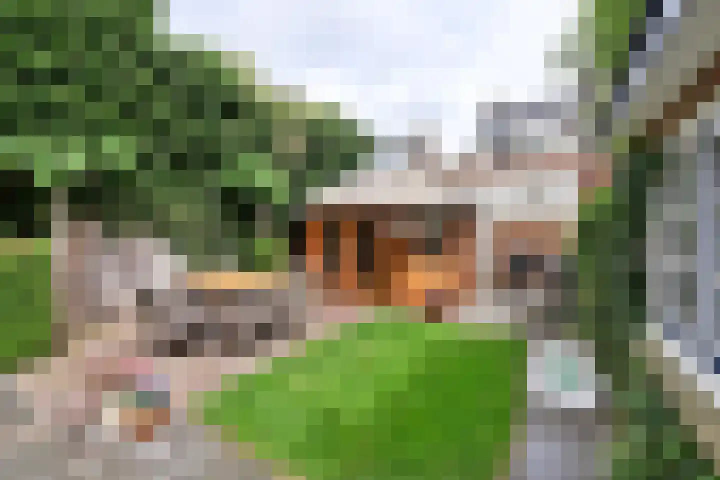 Ambachtstraat 3 Laren thumbnail 14