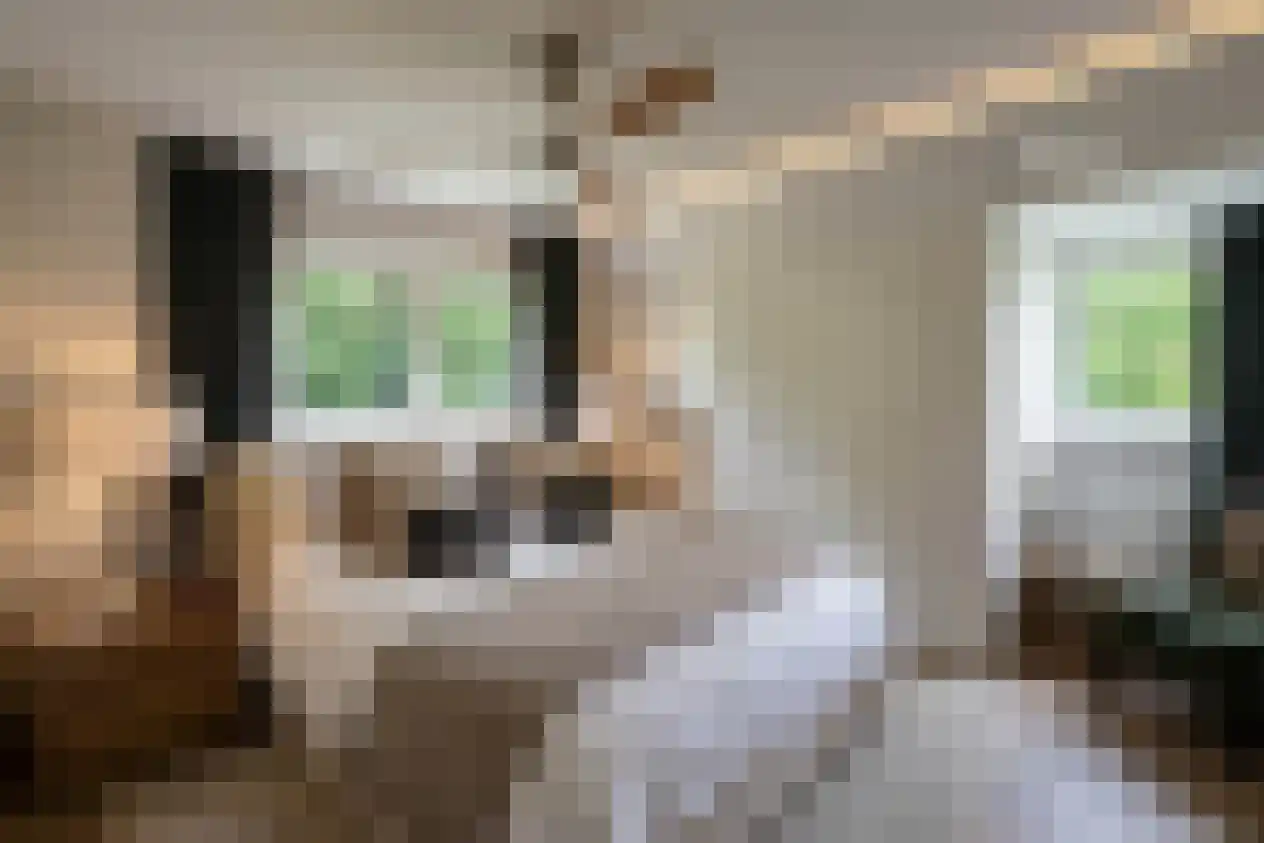 Ambachtstraat 3 Laren thumbnail 17