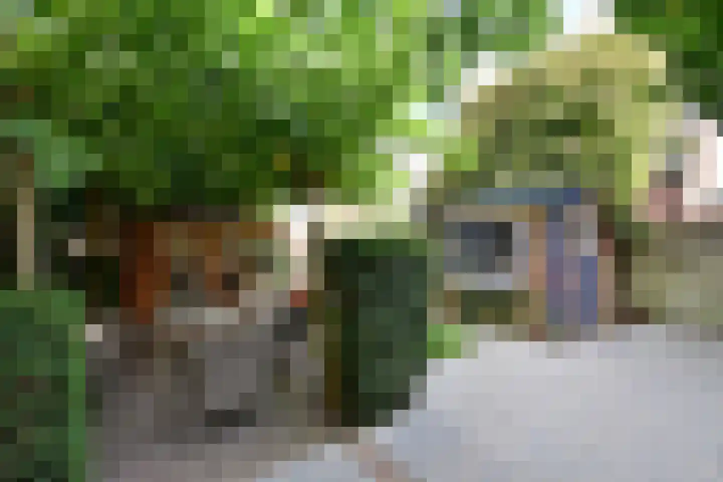 Ambachtstraat 3 Laren thumbnail 21