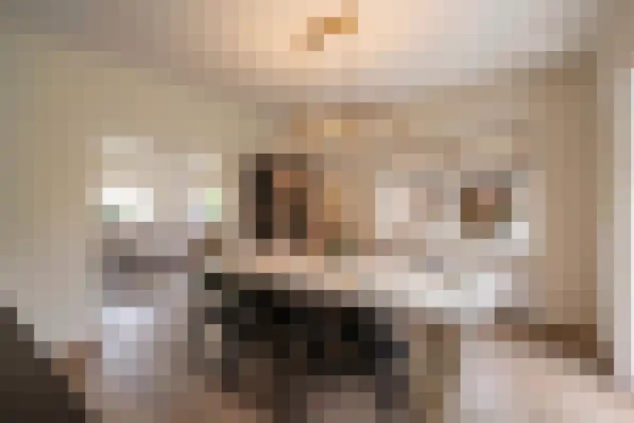 Ambachtstraat 3 Laren thumbnail 7