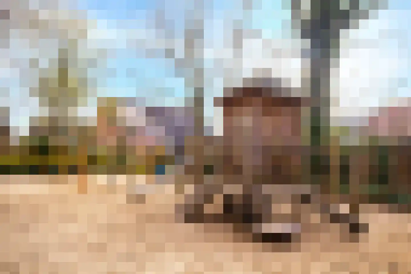 Ambachtstraat 31 Wageningen thumbnail 36