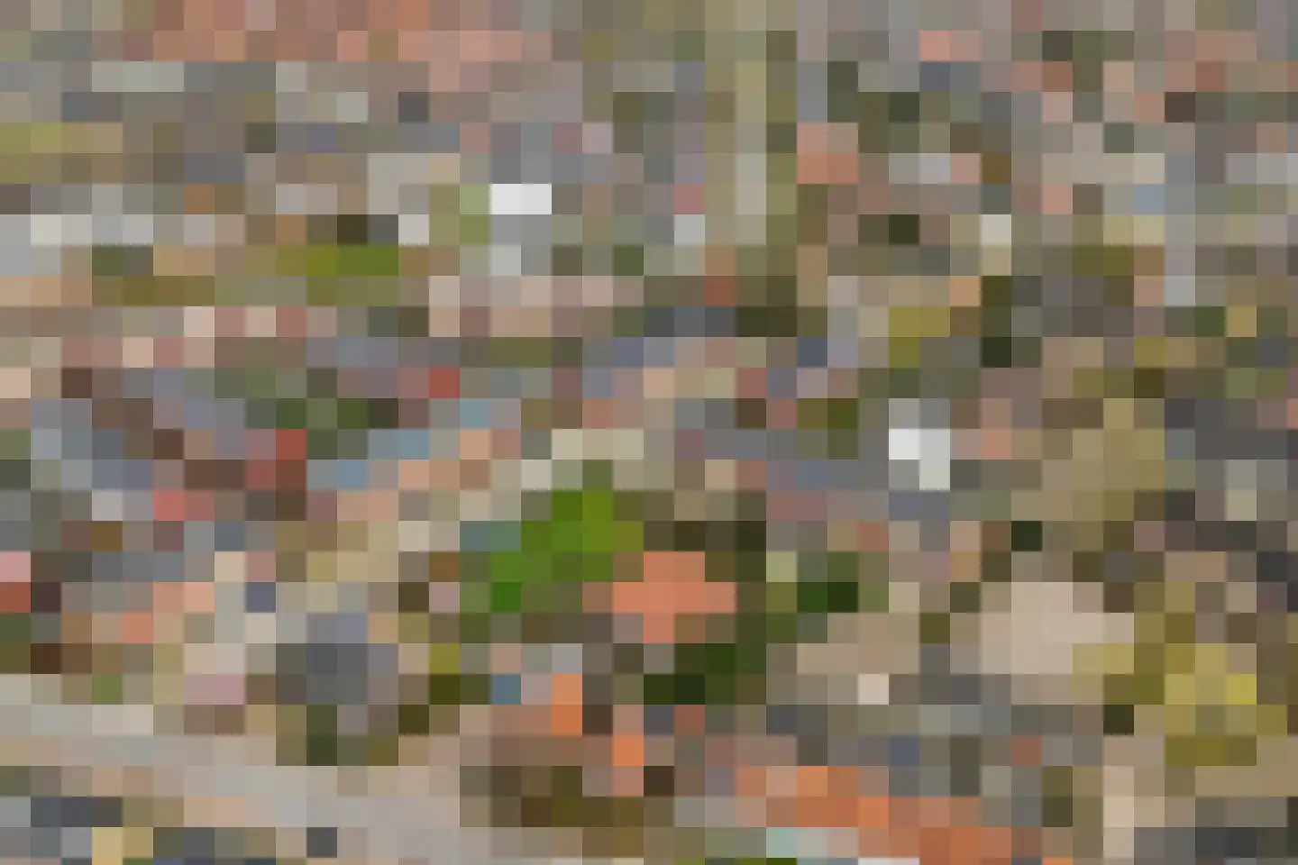 Ambachtstraat 31 Wageningen thumbnail 44