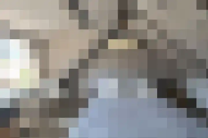 Ambachtstraat 4 Laren thumbnail 12
