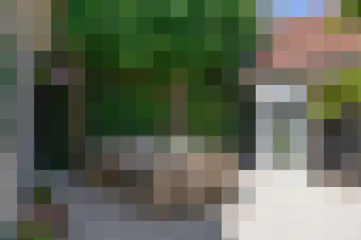 Ambachtstraat 4 Laren thumbnail 15