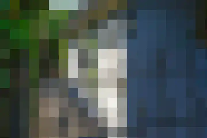 Ambachtstraat 4 Laren thumbnail 18