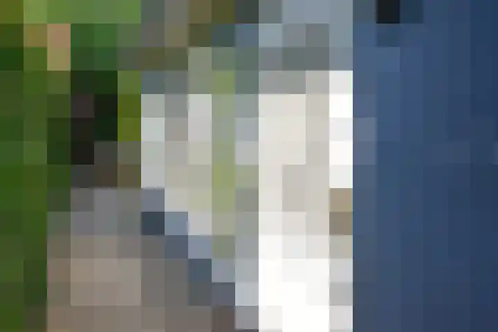 Ambachtstraat 4 Laren thumbnail 19