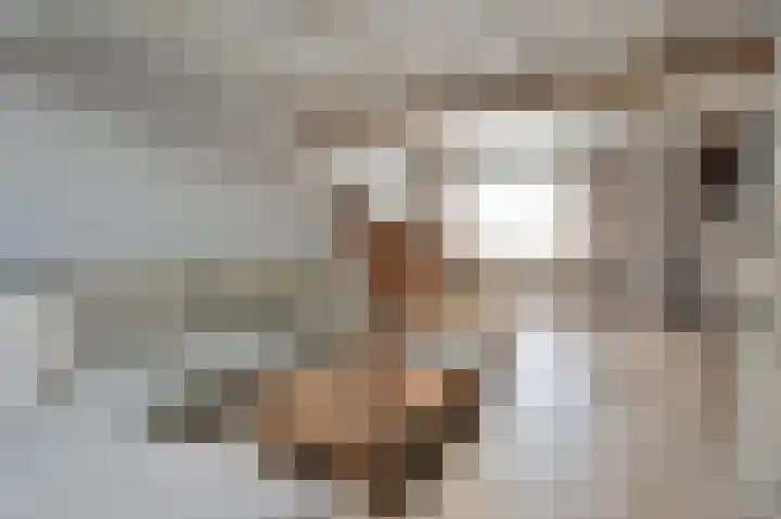 Ambachtstraat 4 Laren thumbnail 7