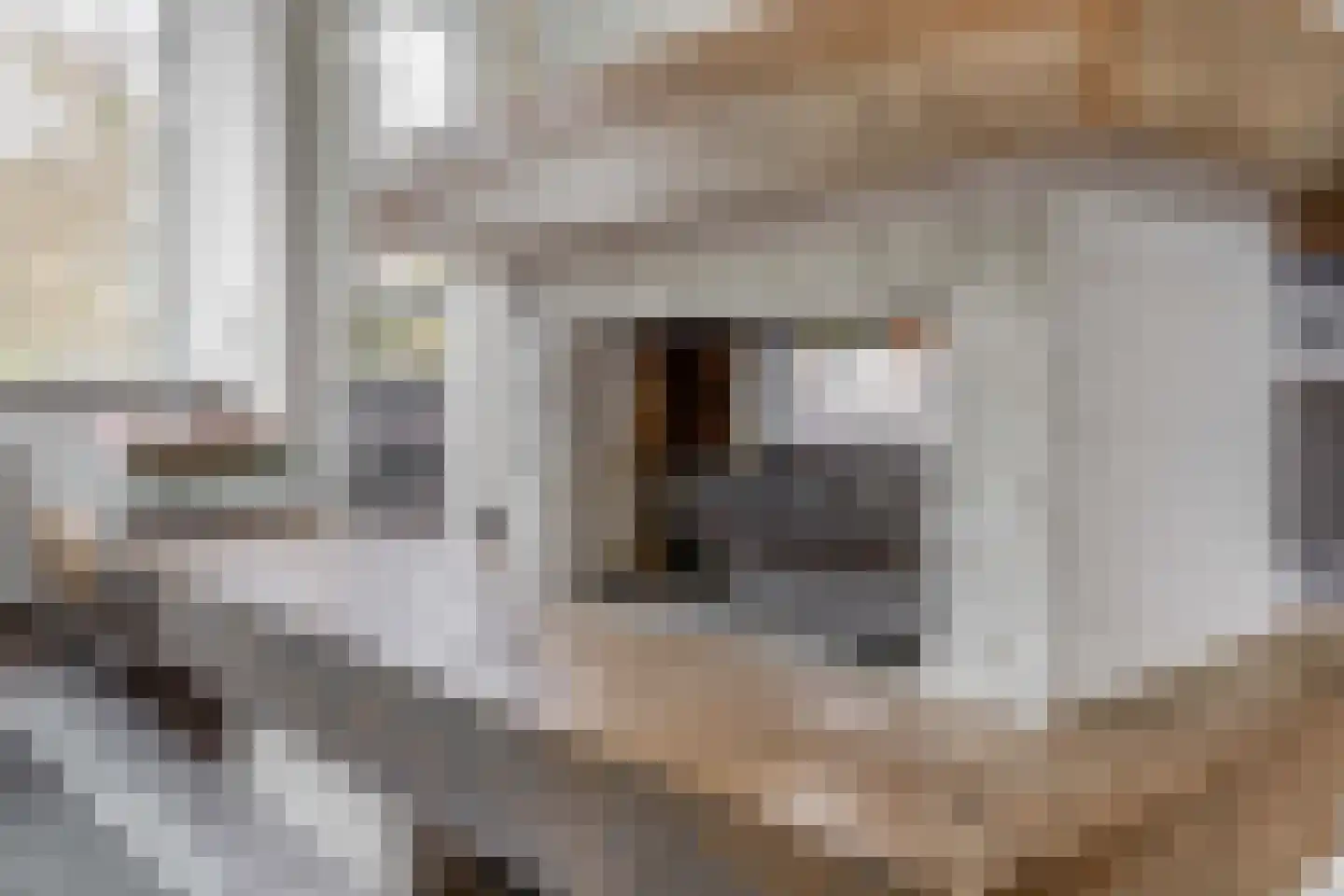 Ambachtstraat 41 Krimpen aan den IJssel thumbnail 21