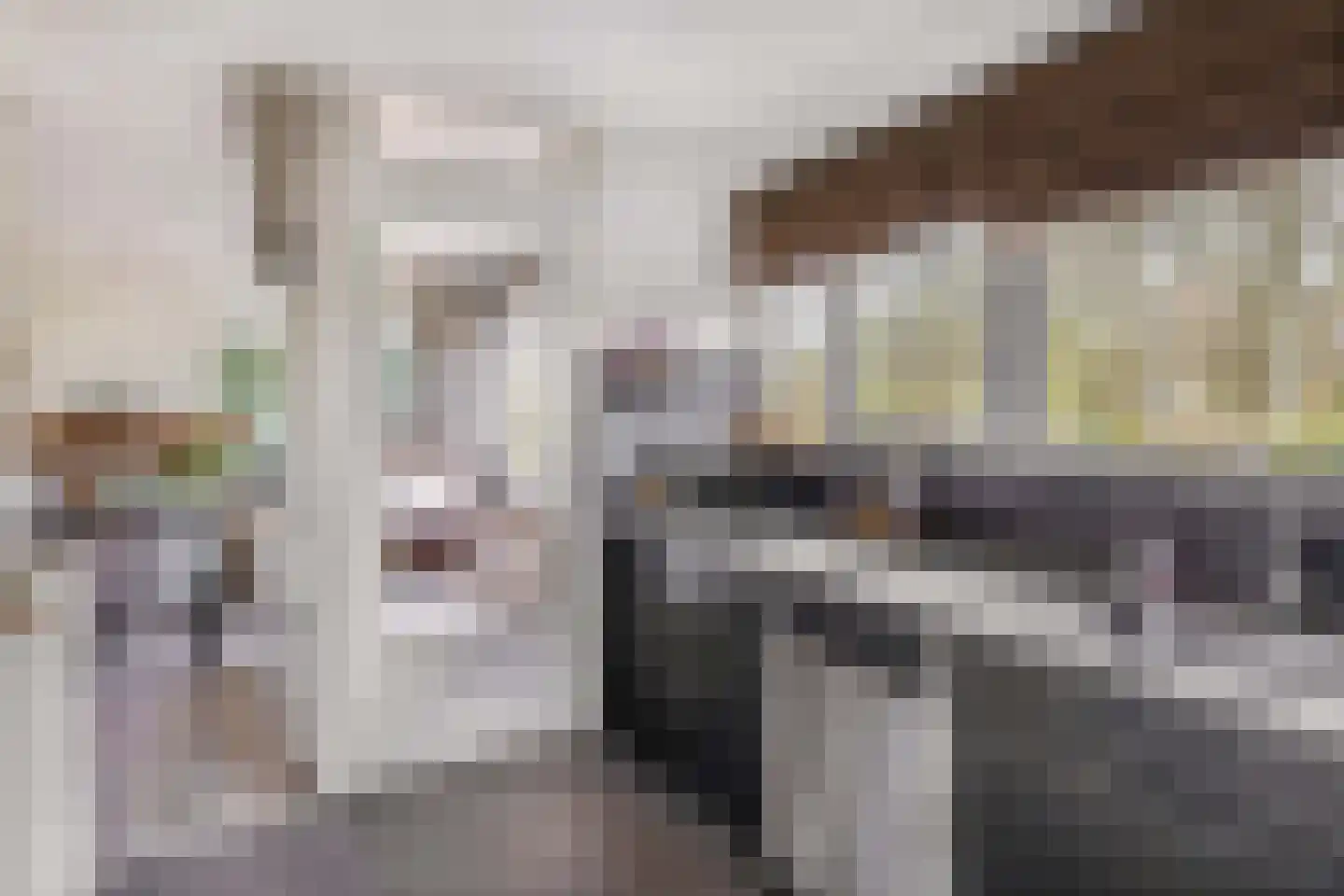 Ambachtstraat 41 Krimpen aan den IJssel thumbnail 24