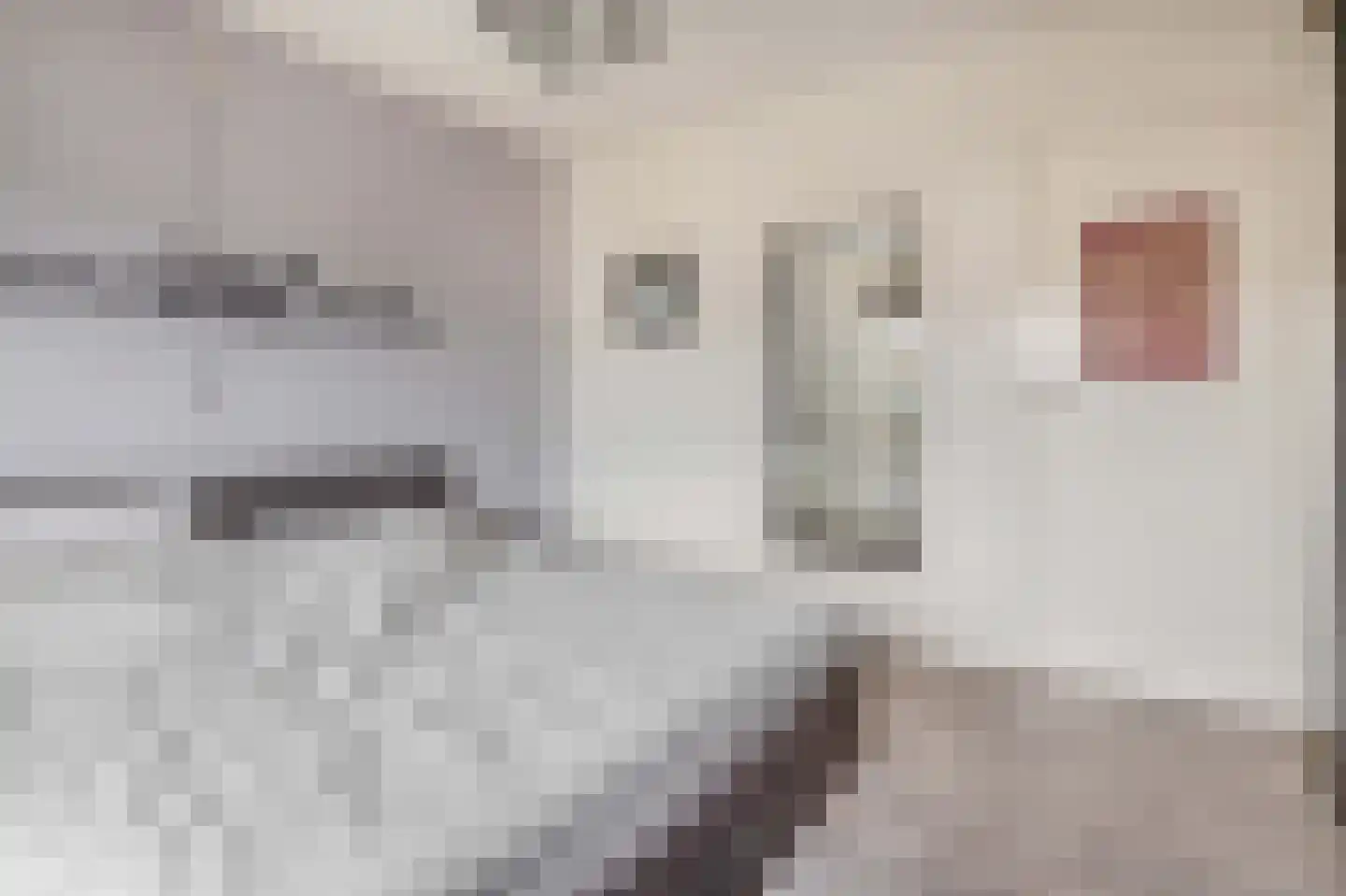 Ambachtstraat 41 Krimpen aan den IJssel thumbnail 27