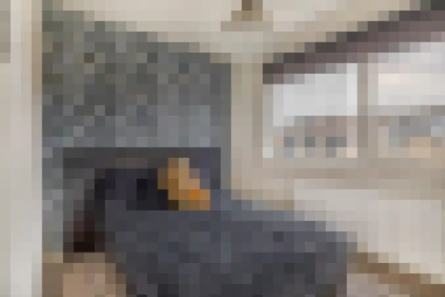 Ambachtstraat 41 Krimpen aan den IJssel thumbnail 29