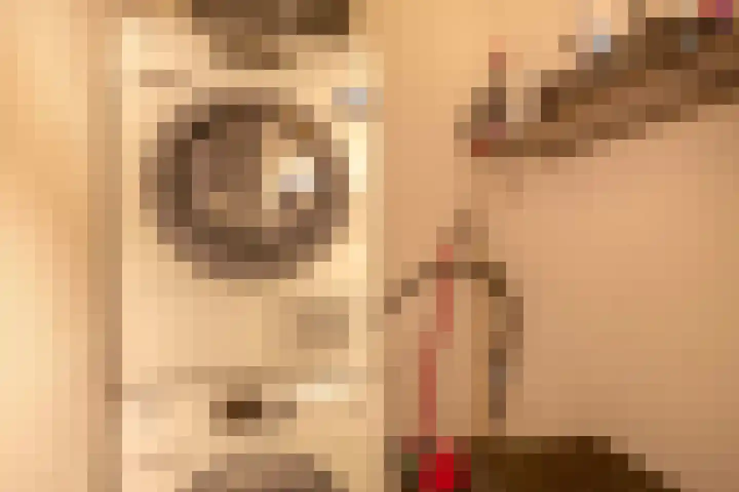 Ambachtstraat 41 Krimpen aan den IJssel thumbnail 34